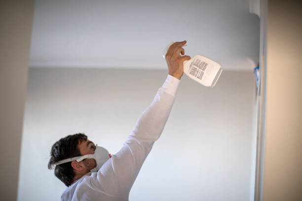 Best Water Damage Restoration  in Smoke Rise, AL