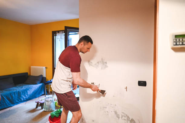 Best Affordable Mold Removal  in Smoke Rise, AL